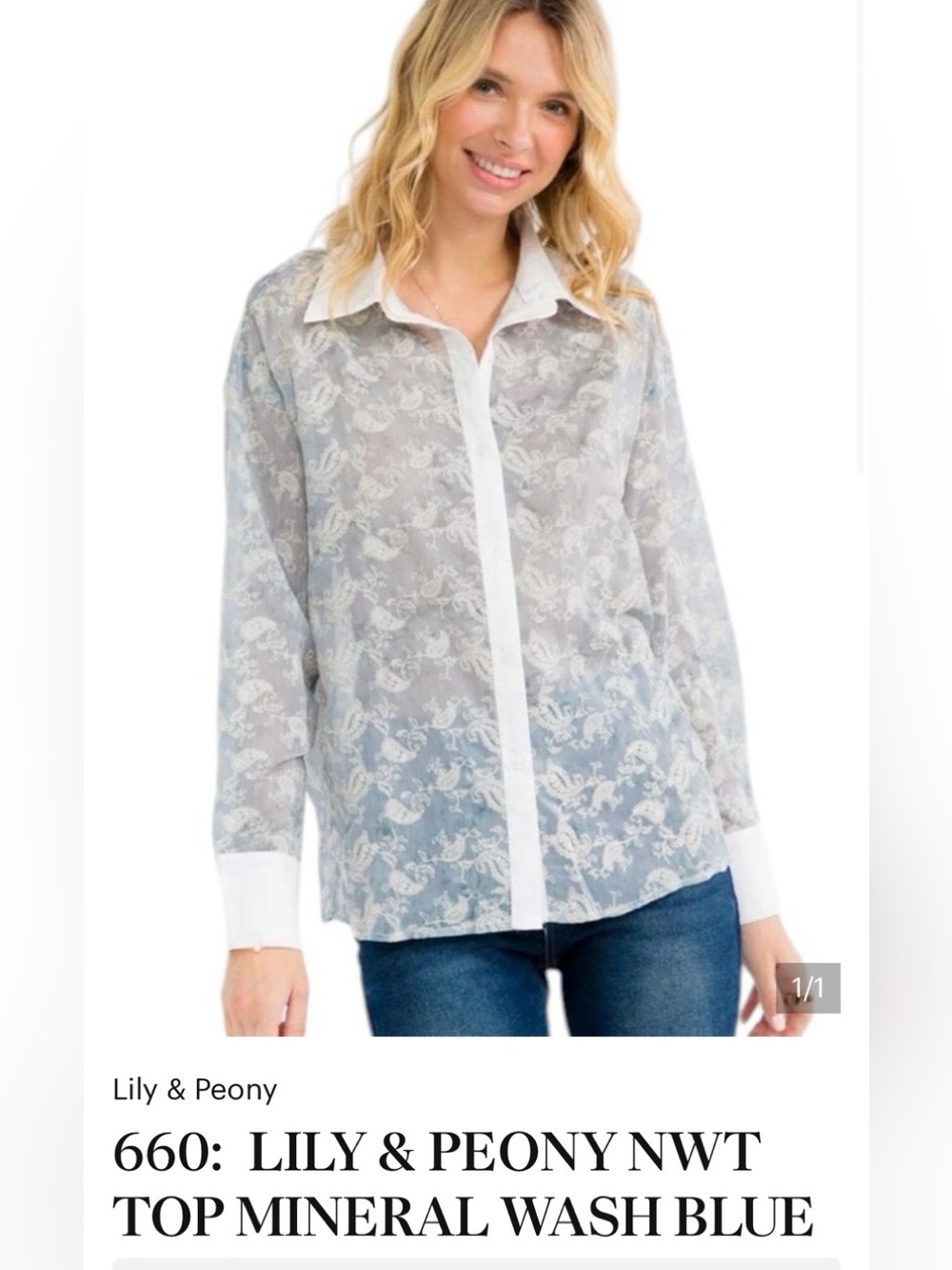 Lily & Peony Lace Button-Up Blouse in Blue and White w/Accented Collar & Sleeves